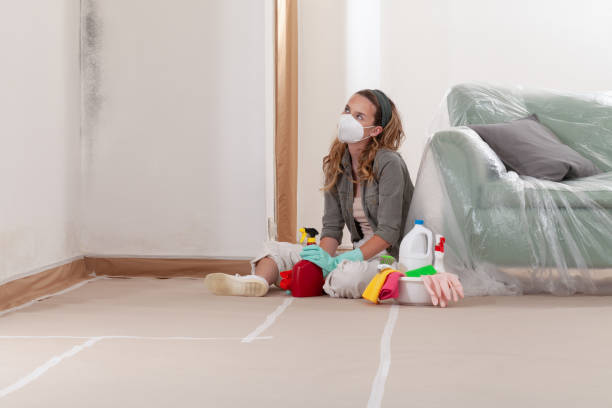 Reliable Black Mold Remediation contractor in Lewisville, WA by Car Mold Remediation